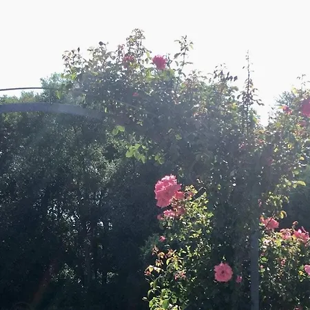 Sea View Comfortable Dom wakacyjny