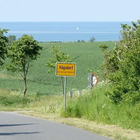 Sea View Comfortable *