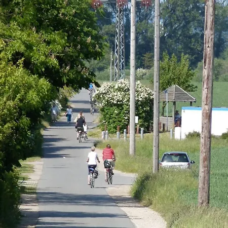 Sea View Comfortable *