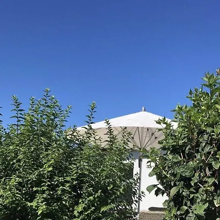 Sea View Comfortable